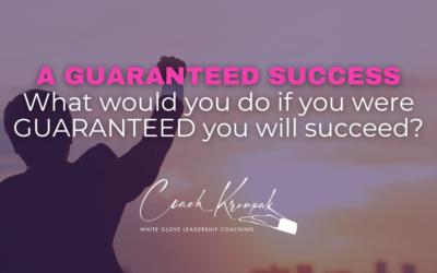 What would you do if you were GUARANTEED you will succeed?