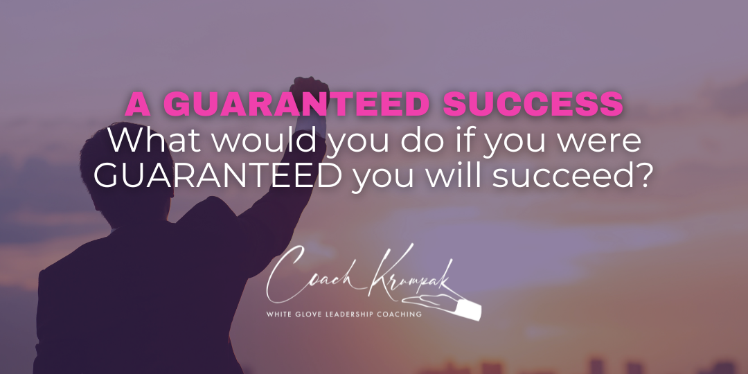 What would you do if you were GUARANTEED you will succeed?
